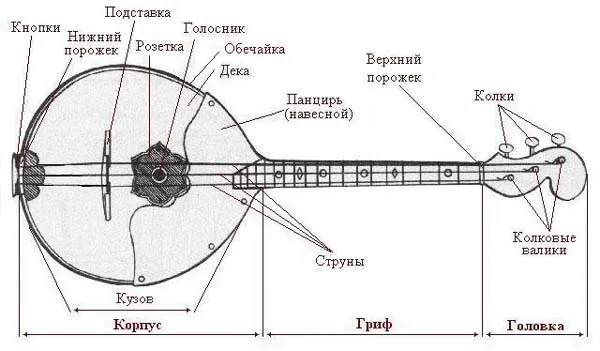 Что такое домра и как на ней играть 5