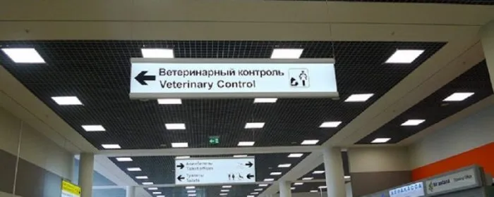 Указатель ветеринарного контроля в аэропорту