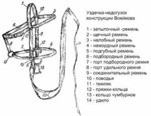 Для прогулок