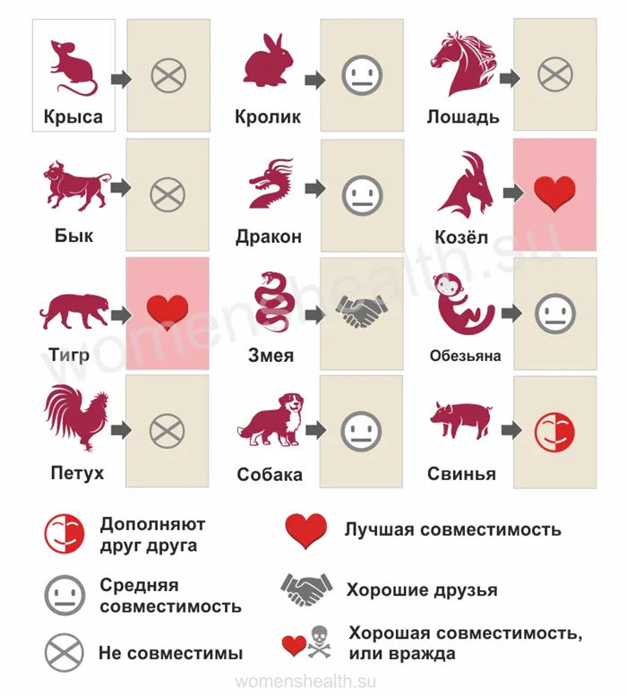 Инфографика: прогноз совместимости и любовных отношений для 2014 года Лошади