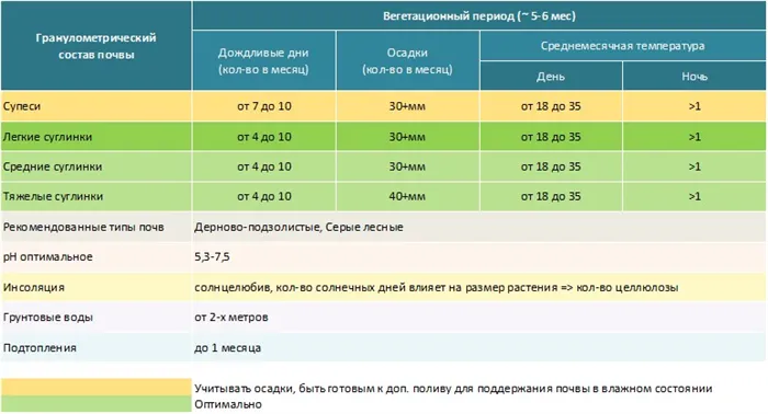 Все о мискантусе мискантус фото и описание 4