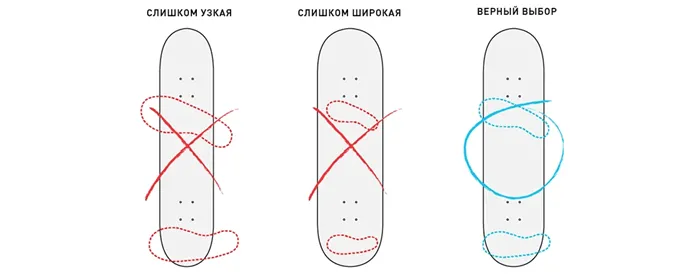 Деки для скейтбордов: виды, размеры, формы, советы по выбору 7