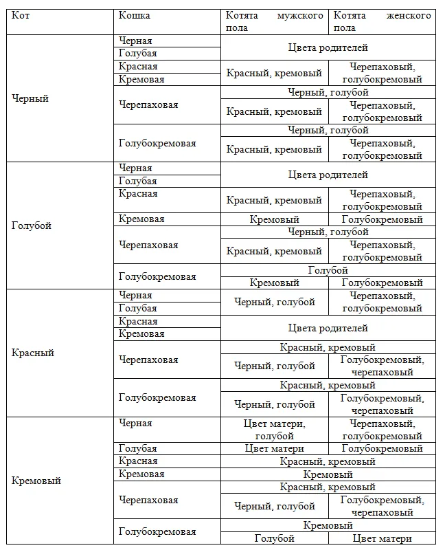 Окрасы мейн-куна вероятный цвет потомства