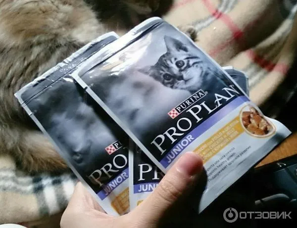 Влажные корма для котят Purina Pro Plan