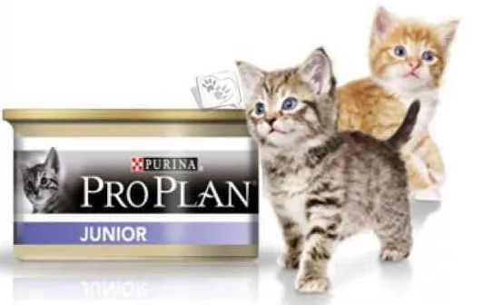 Влажные корма Purina Pro Plan