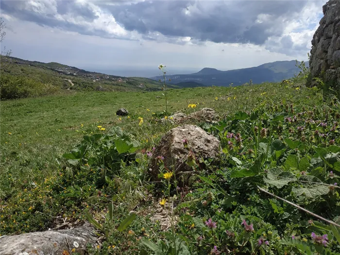 Демерджи рядом с Алуштой