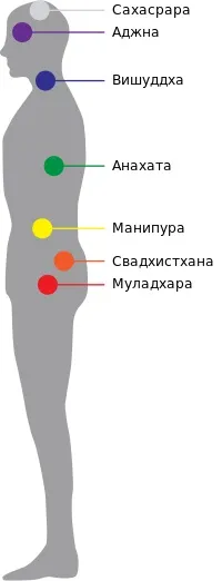 Расположение чакр на теле человека