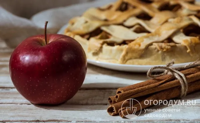 Плоды с кисло-сладким вкусом и плотной мякотью отлично подходят для выпечки и производства соков