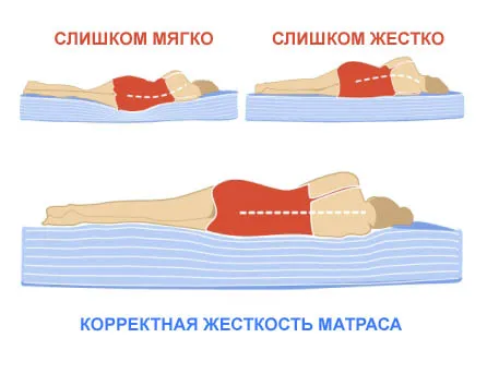 Как выбрать анатомический матрас для двуспальной кровати 4