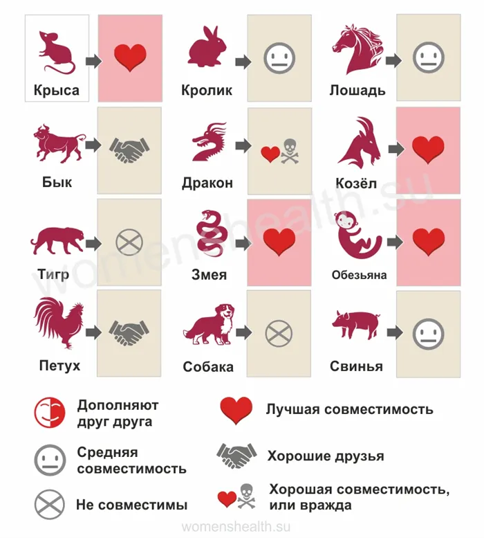 Знаки зодиака: прогноз совместимости 1988 год Дракона