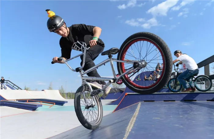 Велосипеды BMX: характеристика, разновидности, бренды, выбор 7