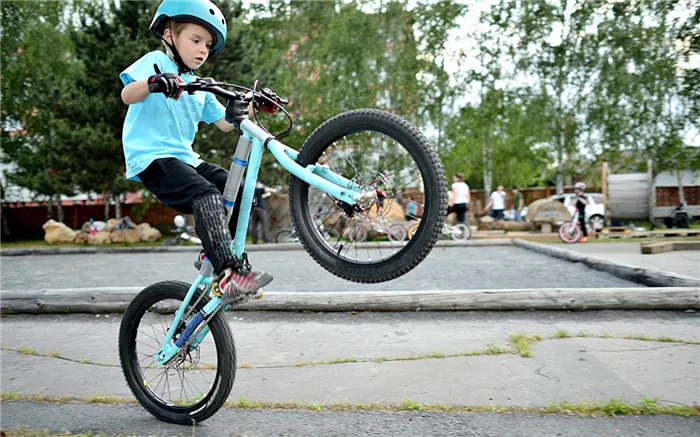 Велосипеды BMX: характеристика, разновидности, бренды, выбор 3