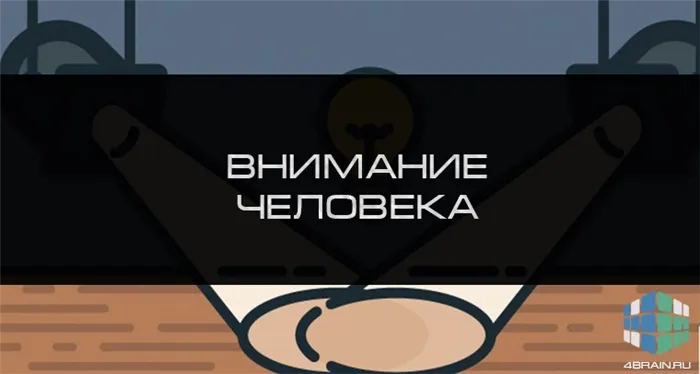 Внимание человека: что это и как оно работает