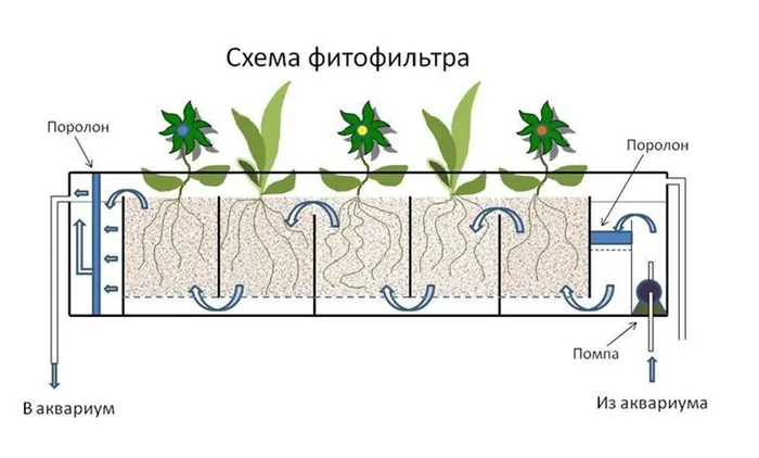 Схема чертеж фитофильтра для аквариума. Фитофильтр своими руками